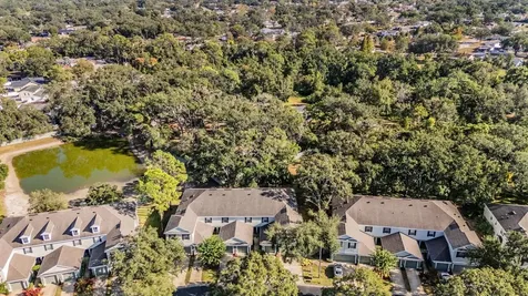 2445 Earlswood Court Brandon FL 33510
