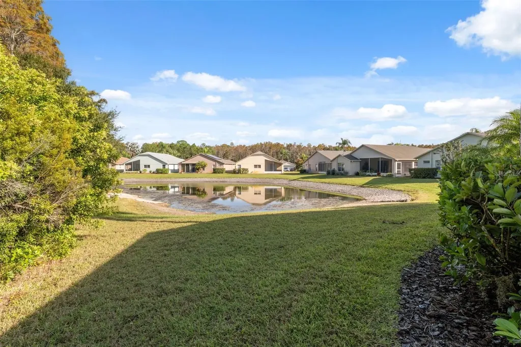 1201 Dustan Place Trinity FL 34655