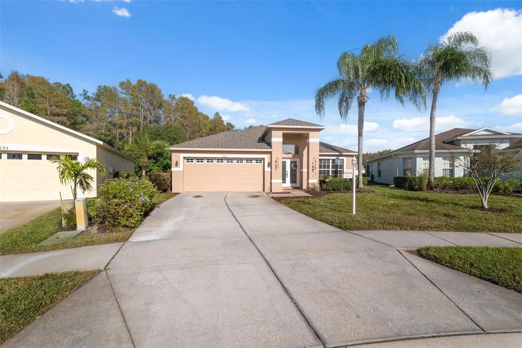 1201 Dustan Place Trinity FL 34655