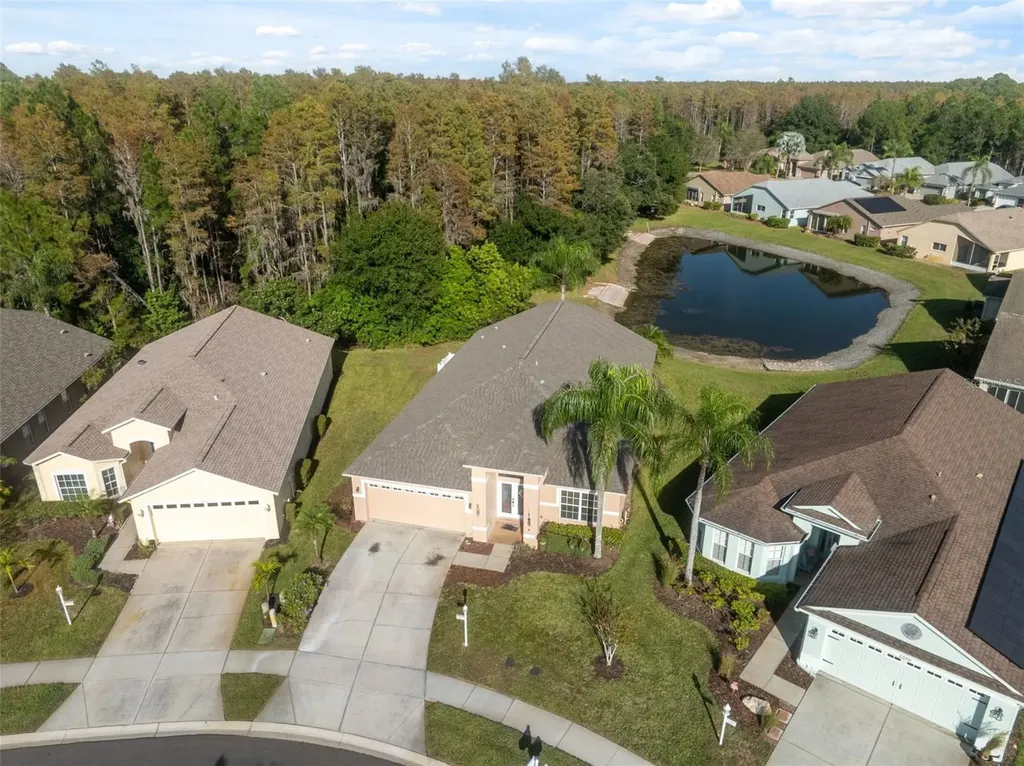 1201 Dustan Place Trinity FL 34655