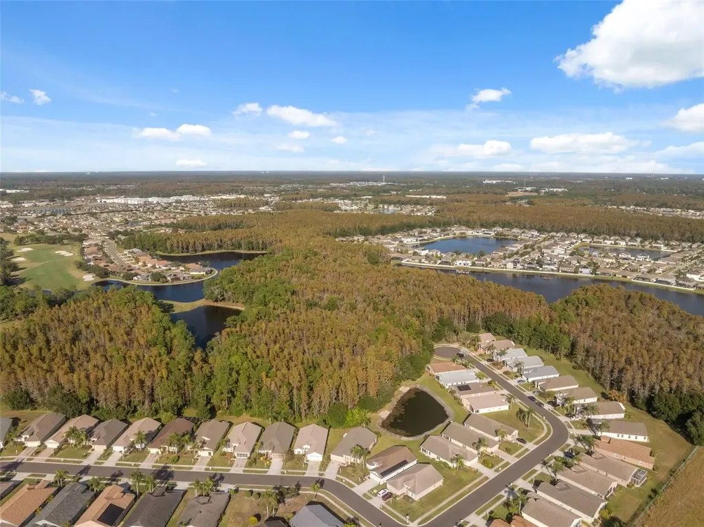 1201 Dustan Place Trinity FL 34655