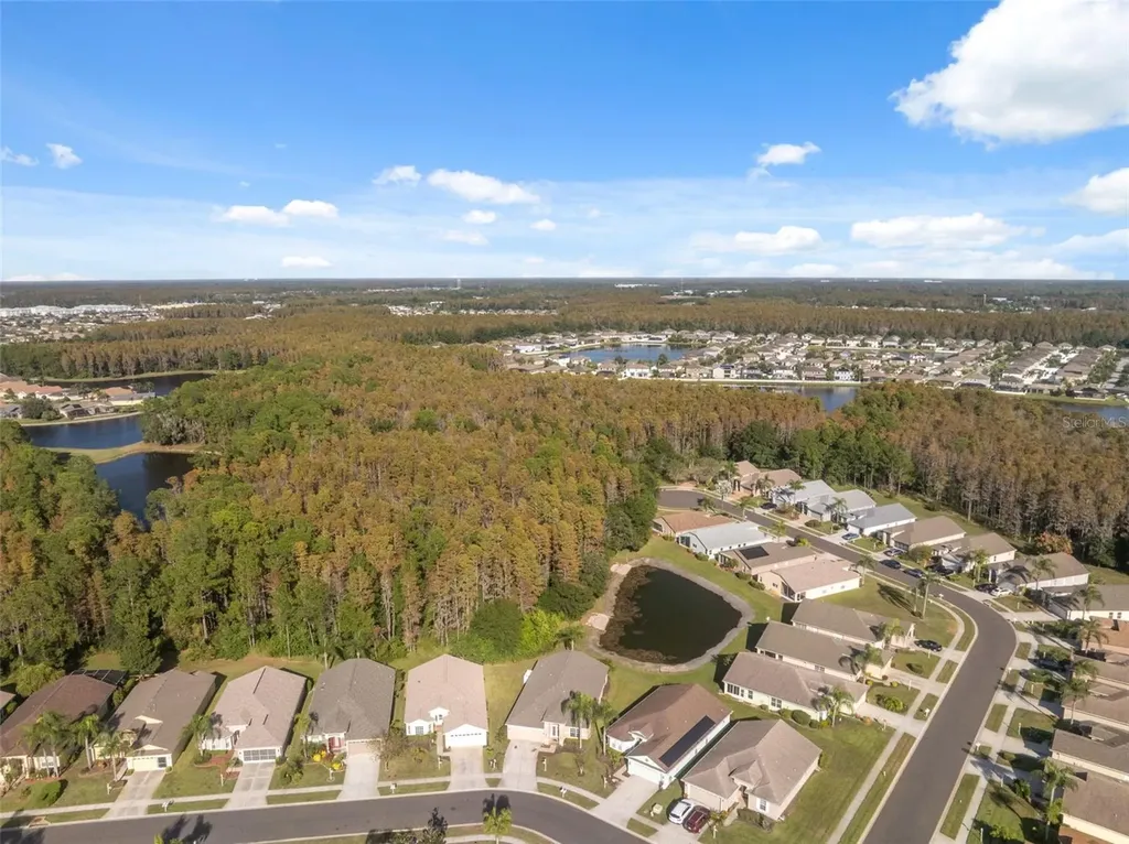 1201 Dustan Place Trinity FL 34655