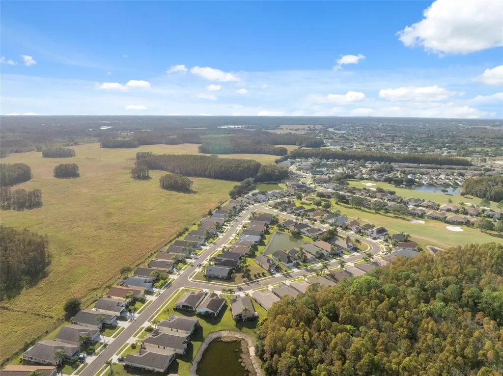 1201 Dustan Place Trinity FL 34655