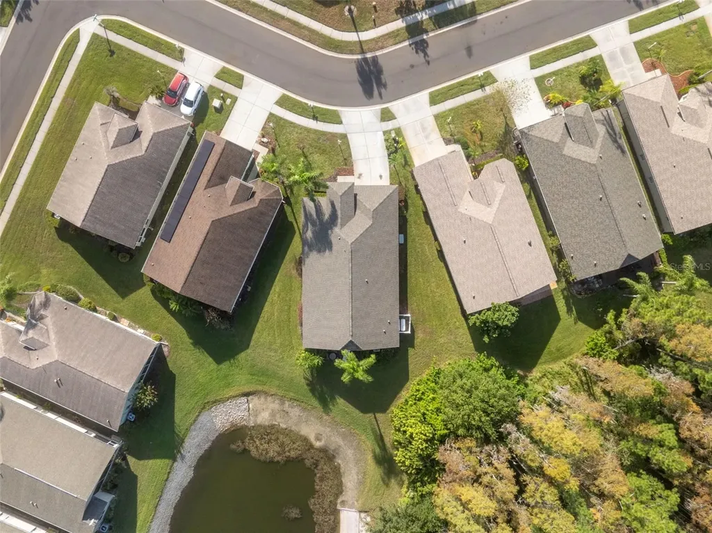1201 Dustan Place Trinity FL 34655