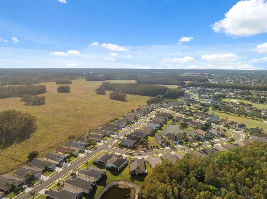 1201 Dustan Place Trinity FL 34655