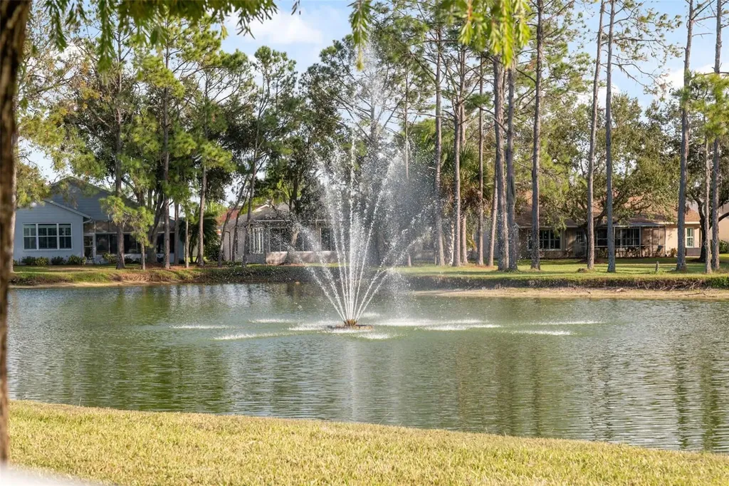 1201 Dustan Place Trinity FL 34655