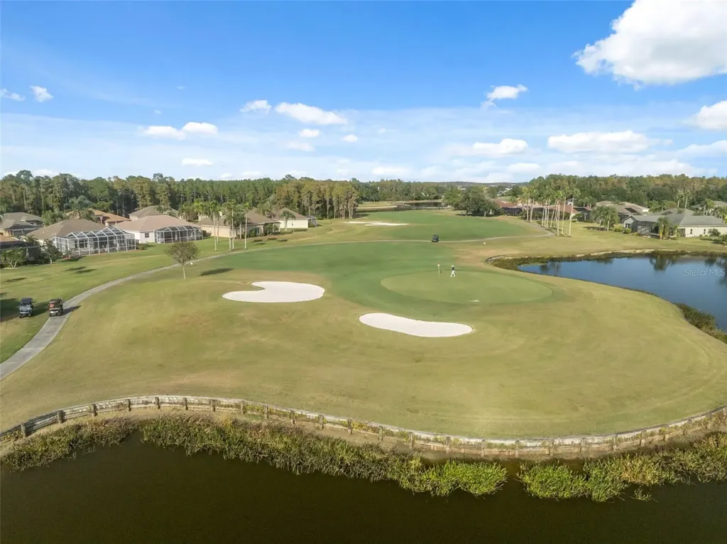 1201 Dustan Place Trinity FL 34655
