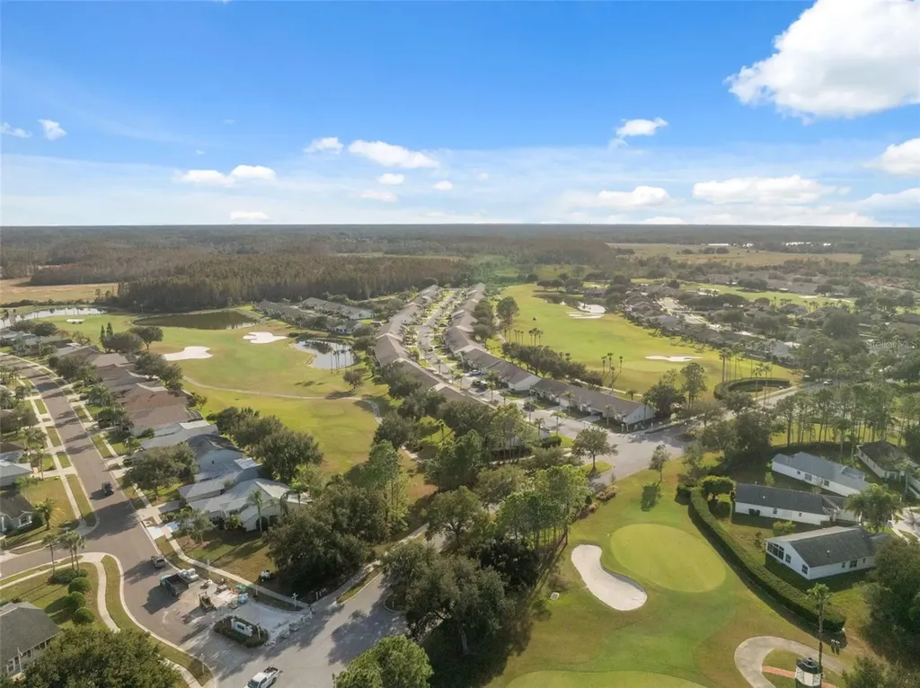 1201 Dustan Place Trinity FL 34655