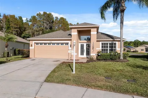 1201 Dustan Place Trinity FL 34655