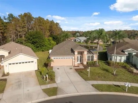 1201 Dustan Place Trinity FL 34655