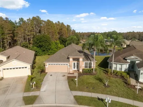 1201 Dustan Place Trinity FL 34655