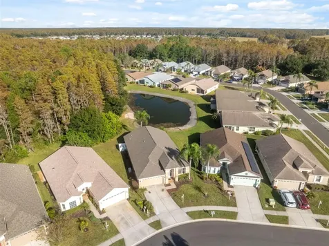 1201 Dustan Place Trinity FL 34655