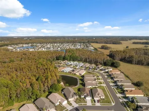 1201 Dustan Place Trinity FL 34655