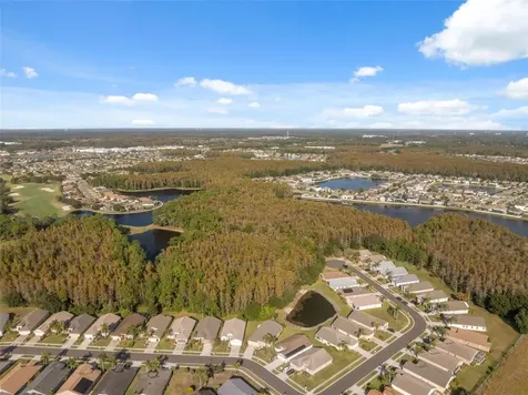 1201 Dustan Place Trinity FL 34655