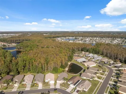 1201 Dustan Place Trinity FL 34655