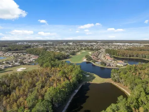 1201 Dustan Place Trinity FL 34655