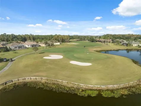 1201 Dustan Place Trinity FL 34655