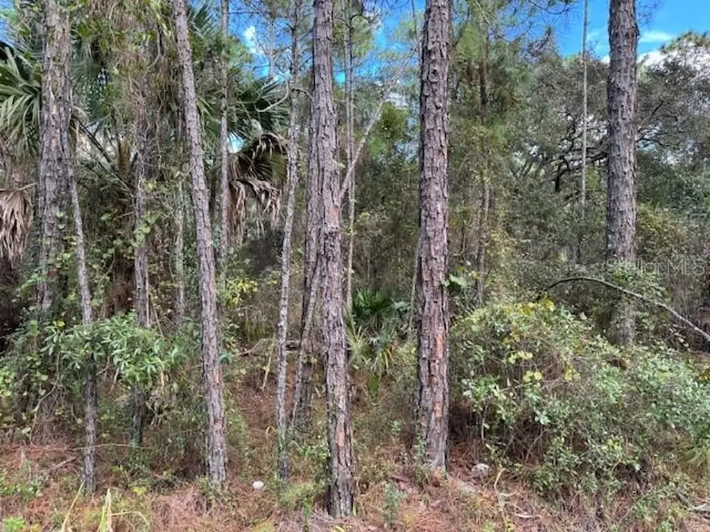 12TH Avenue Deland FL 32724