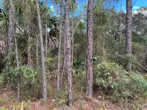 12TH Avenue Deland FL 32724