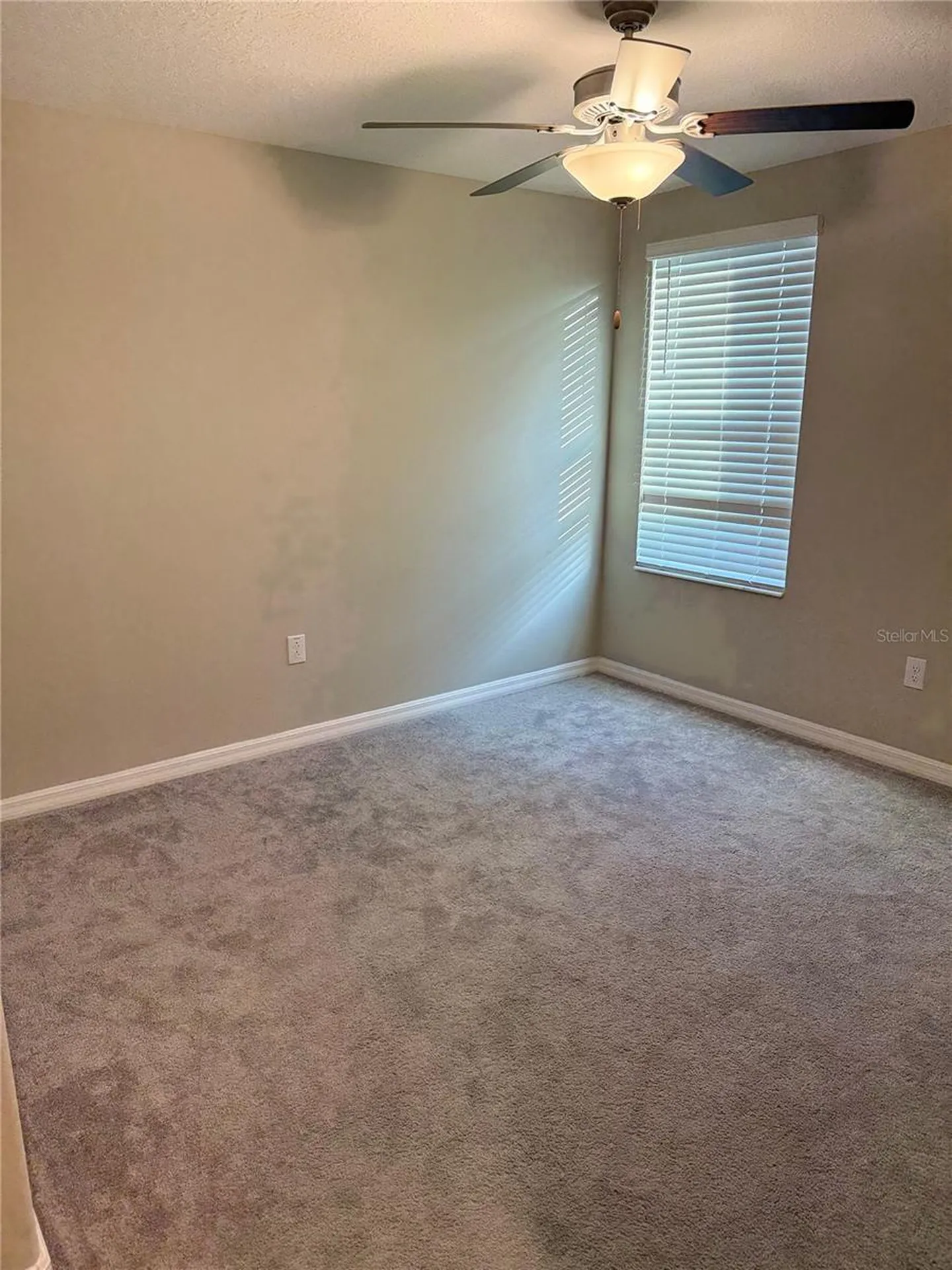 3153 Oyster Cove Street Wimauma FL 33598
