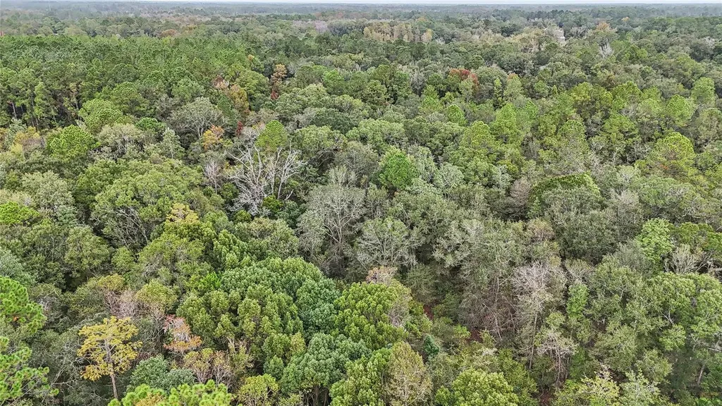 0 W Edwards Road Starke FL 32091