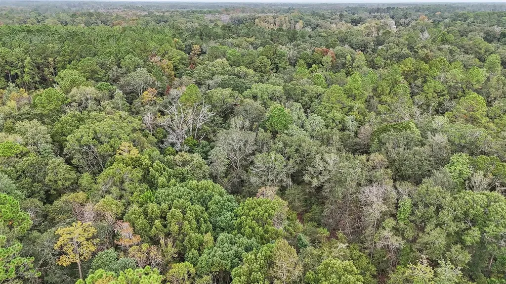 W Edwards Road Starke FL 32091
