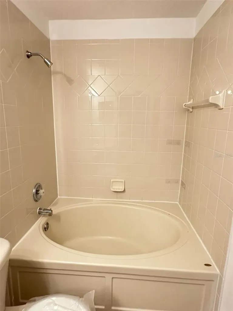 217 Penmark Stone Place Valrico FL 33594