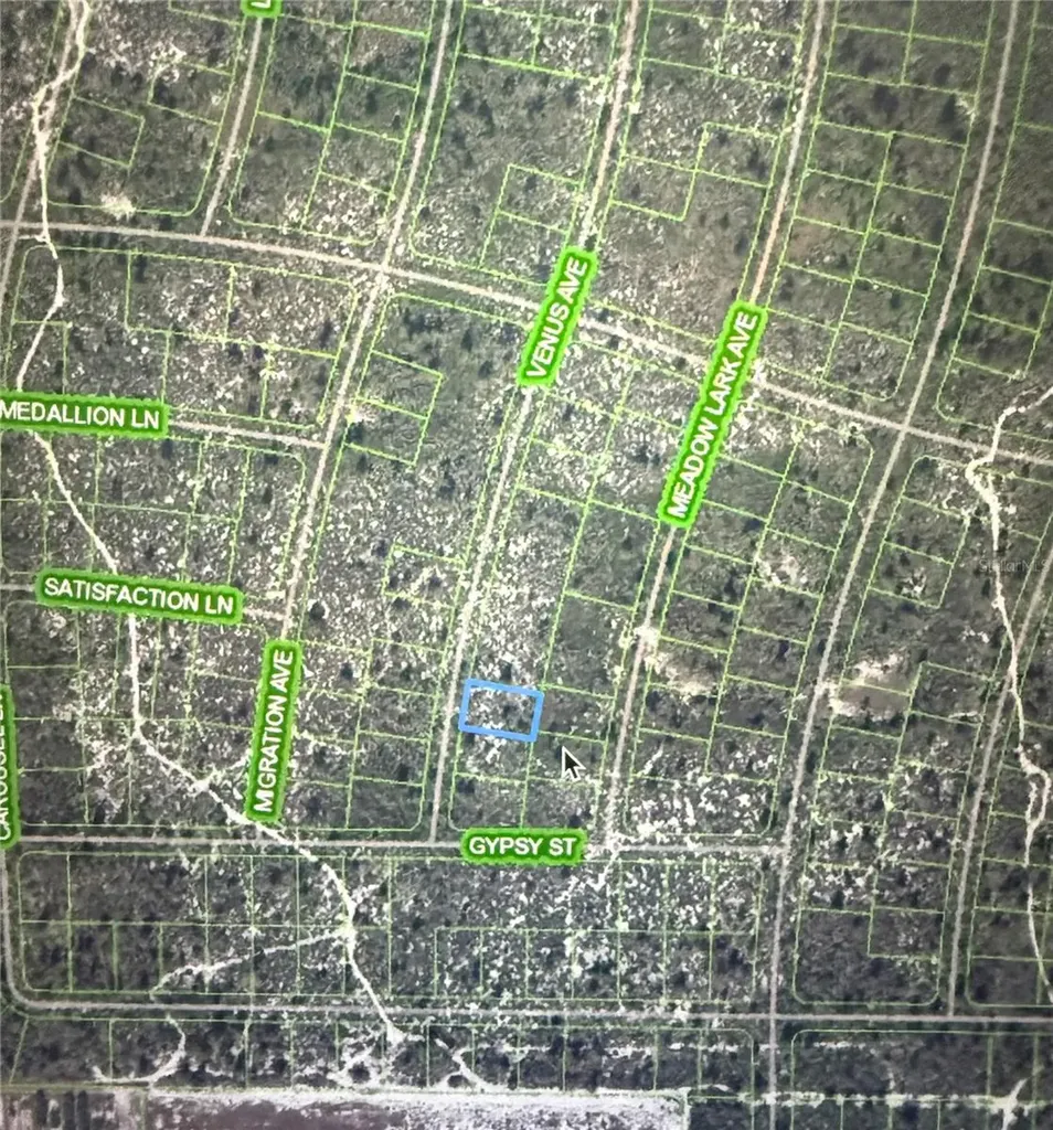 548 Venus Avenue Lake Placid FL 33852