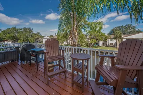 842 Callista Cay Loop Tarpon Springs FL 34689