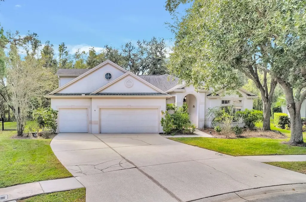 10218 Shadow Branch Drive Tampa FL 33647