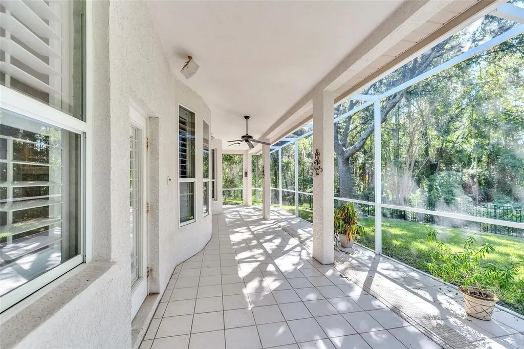 10218 Shadow Branch Drive Tampa FL 33647