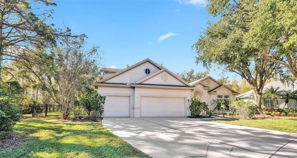 10218 Shadow Branch Drive Tampa FL 33647