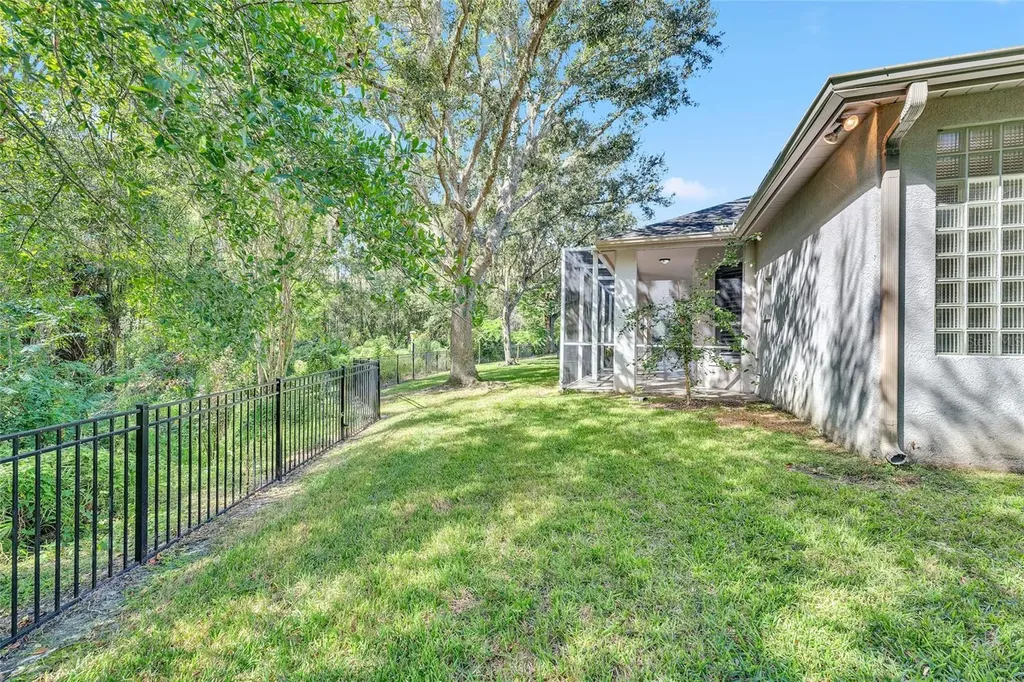 10218 Shadow Branch Drive Tampa FL 33647