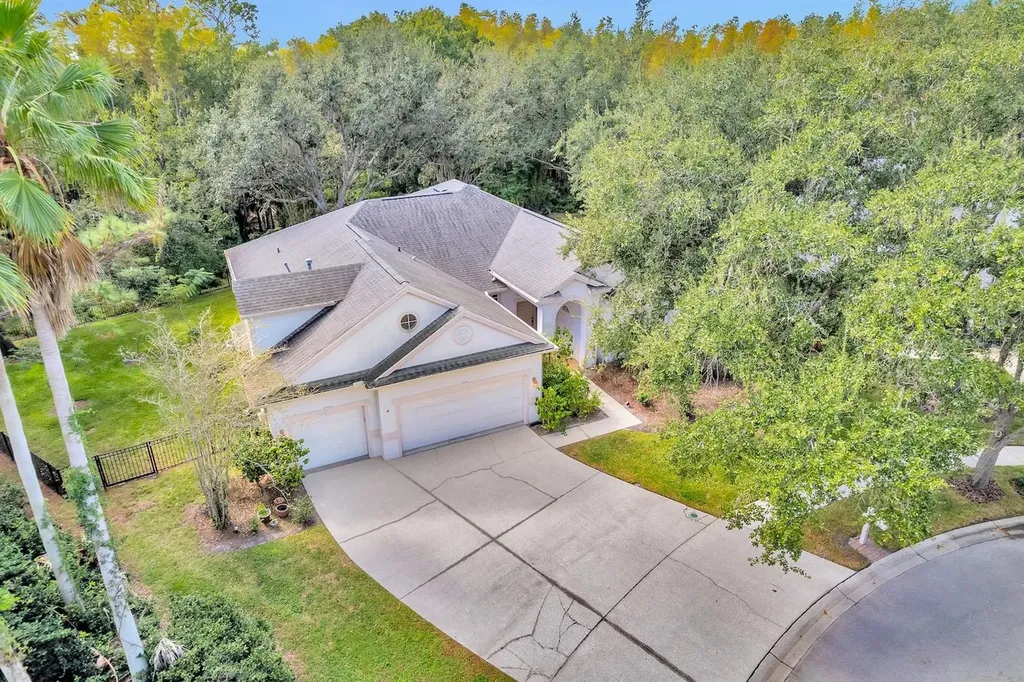 10218 Shadow Branch Drive Tampa FL 33647