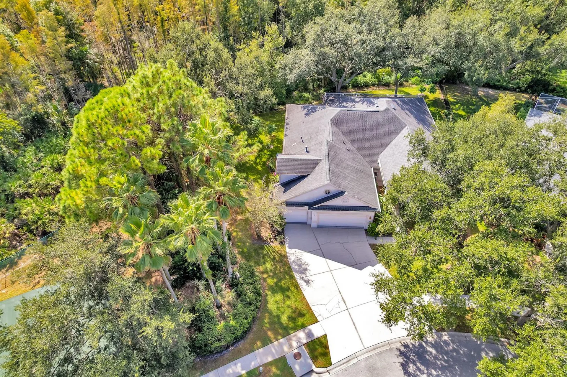 10218 Shadow Branch Drive Tampa FL 33647