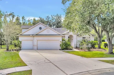 10218 Shadow Branch Drive Tampa FL 33647
