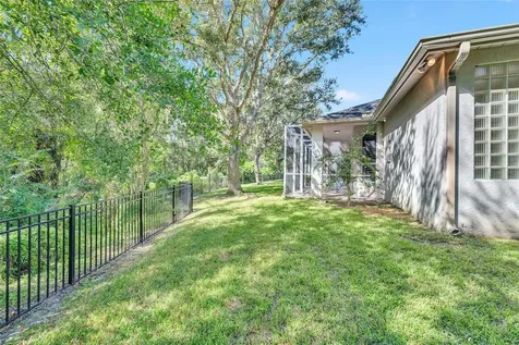 10218 Shadow Branch Drive Tampa FL 33647