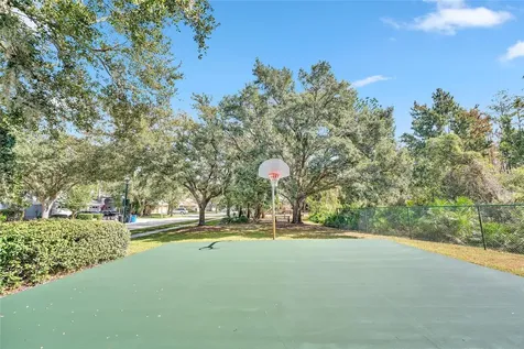 10218 Shadow Branch Drive Tampa FL 33647