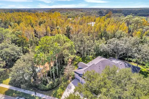 10218 Shadow Branch Drive Tampa FL 33647