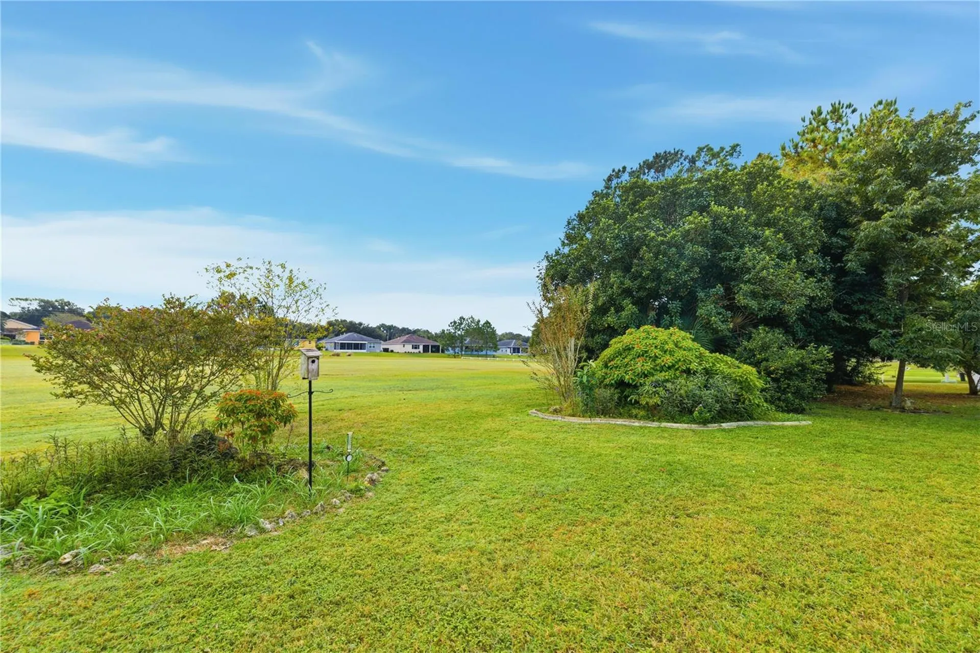 9049 SW 91st Circle Ocala FL 34481