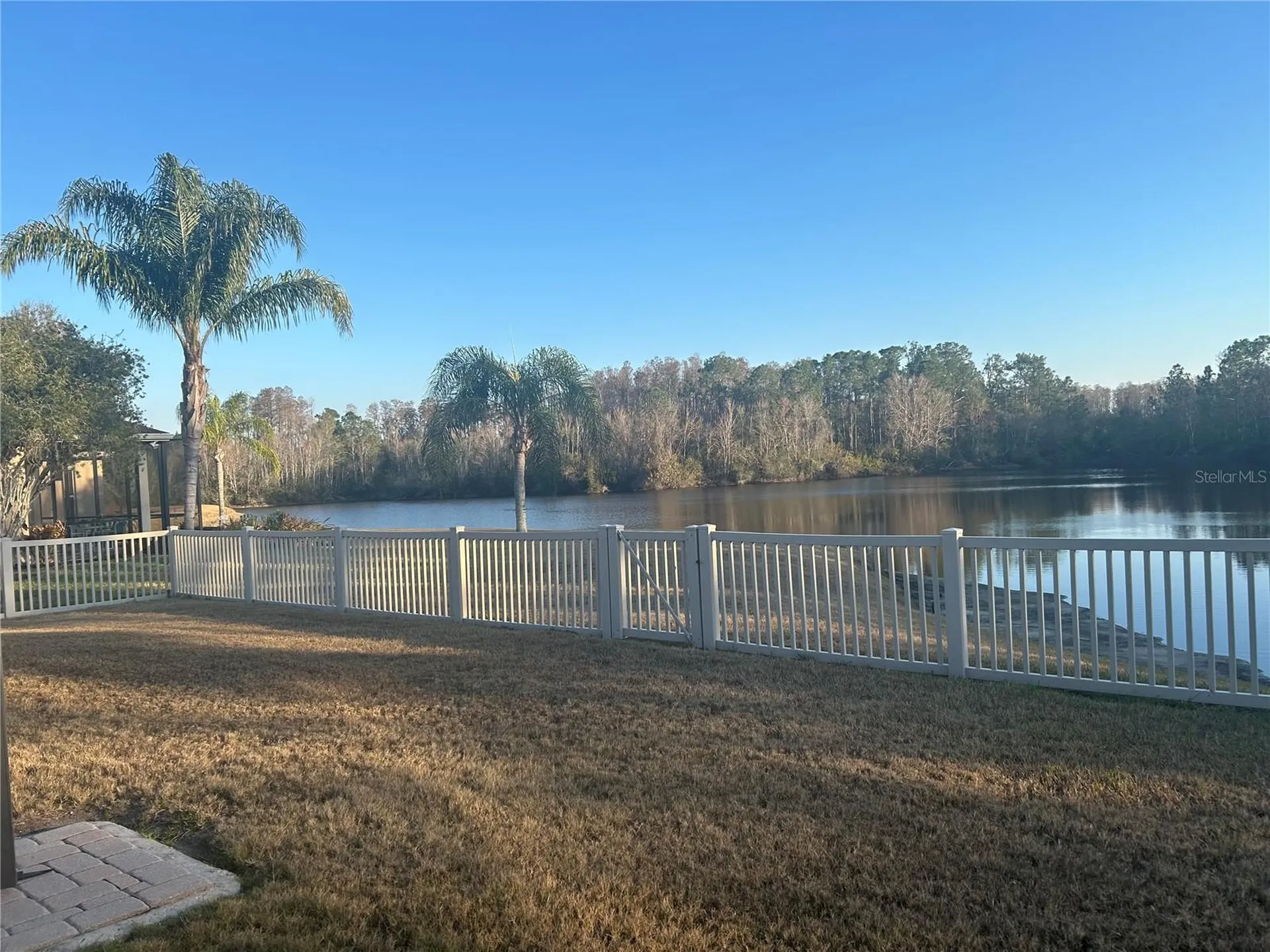 3015 Lynwood Court Land O Lakes FL 34638