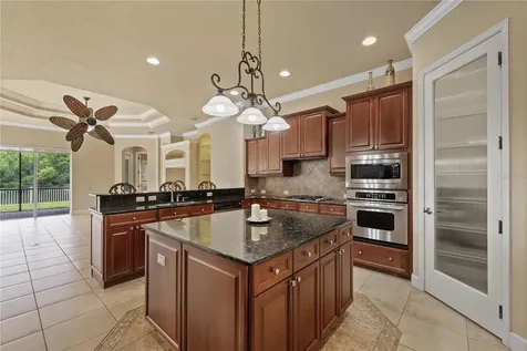 3015 Lynwood Court Land O Lakes FL 34638