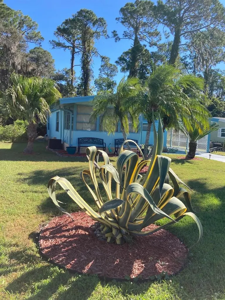2824 Manatee Road Tavares FL 32778