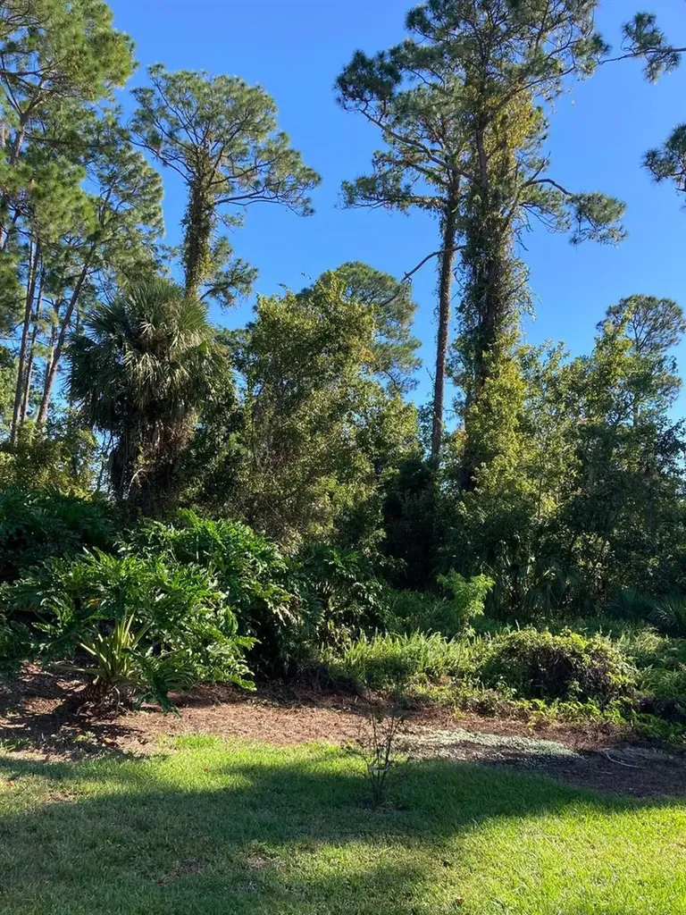 2824 Manatee Road Tavares FL 32778