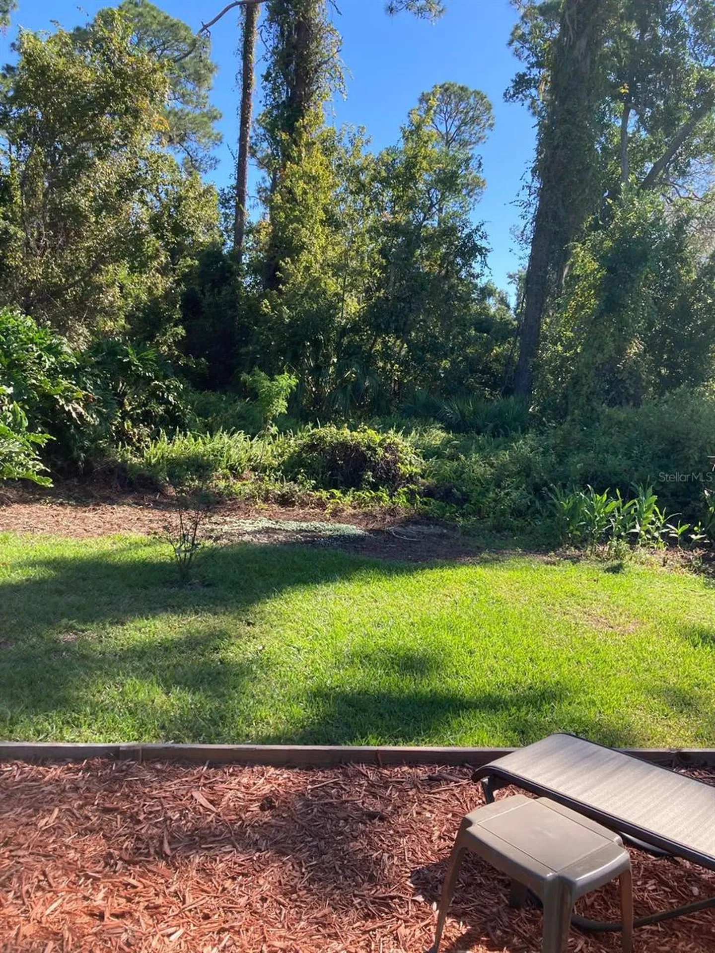2824 Manatee Road Tavares FL 32778
