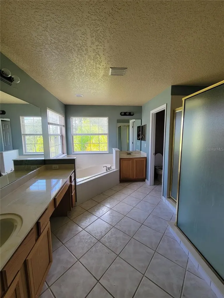 3145 Twisted Oak Loop Kissimmee FL 34744