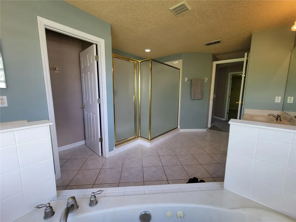 3145 Twisted Oak Loop Kissimmee FL 34744