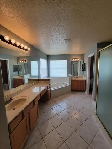 3145 Twisted Oak Loop Kissimmee FL 34744