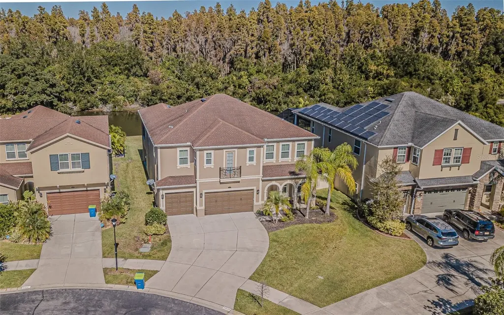 32139 Firemoss Lane Wesley Chapel FL 33543