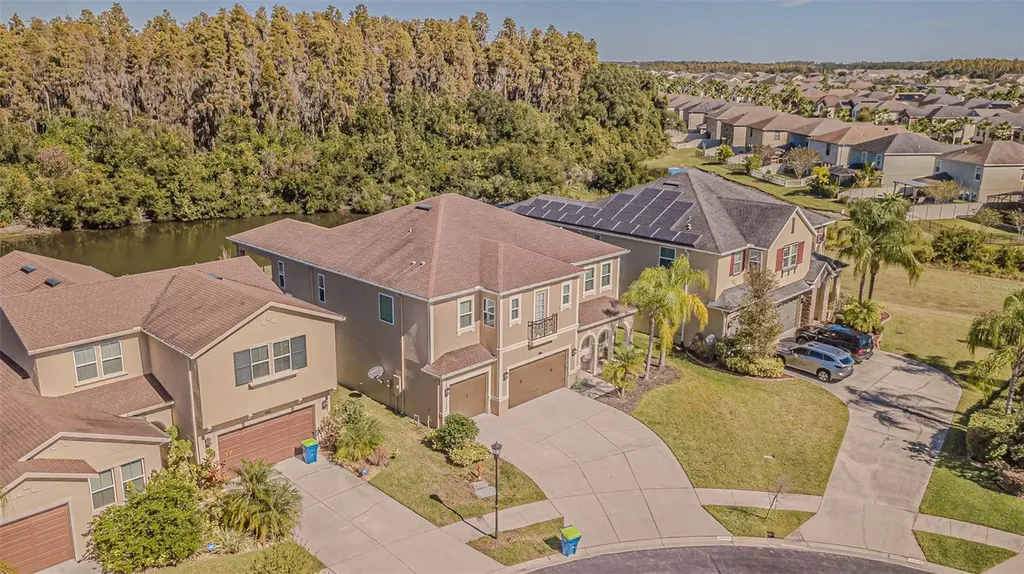 32139 Firemoss Lane Wesley Chapel FL 33543